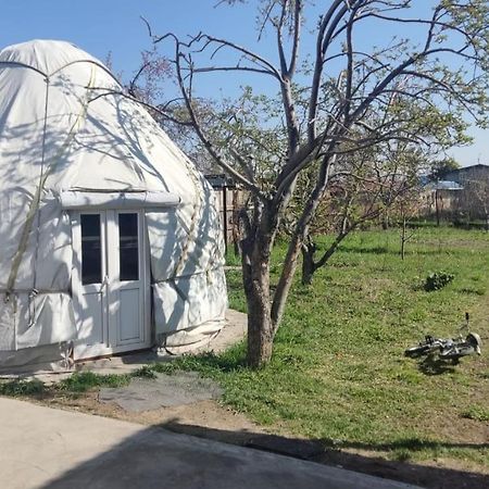 Yurt Stay In Downtown Каракол Екстериор снимка